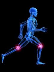 knee pain paradigm